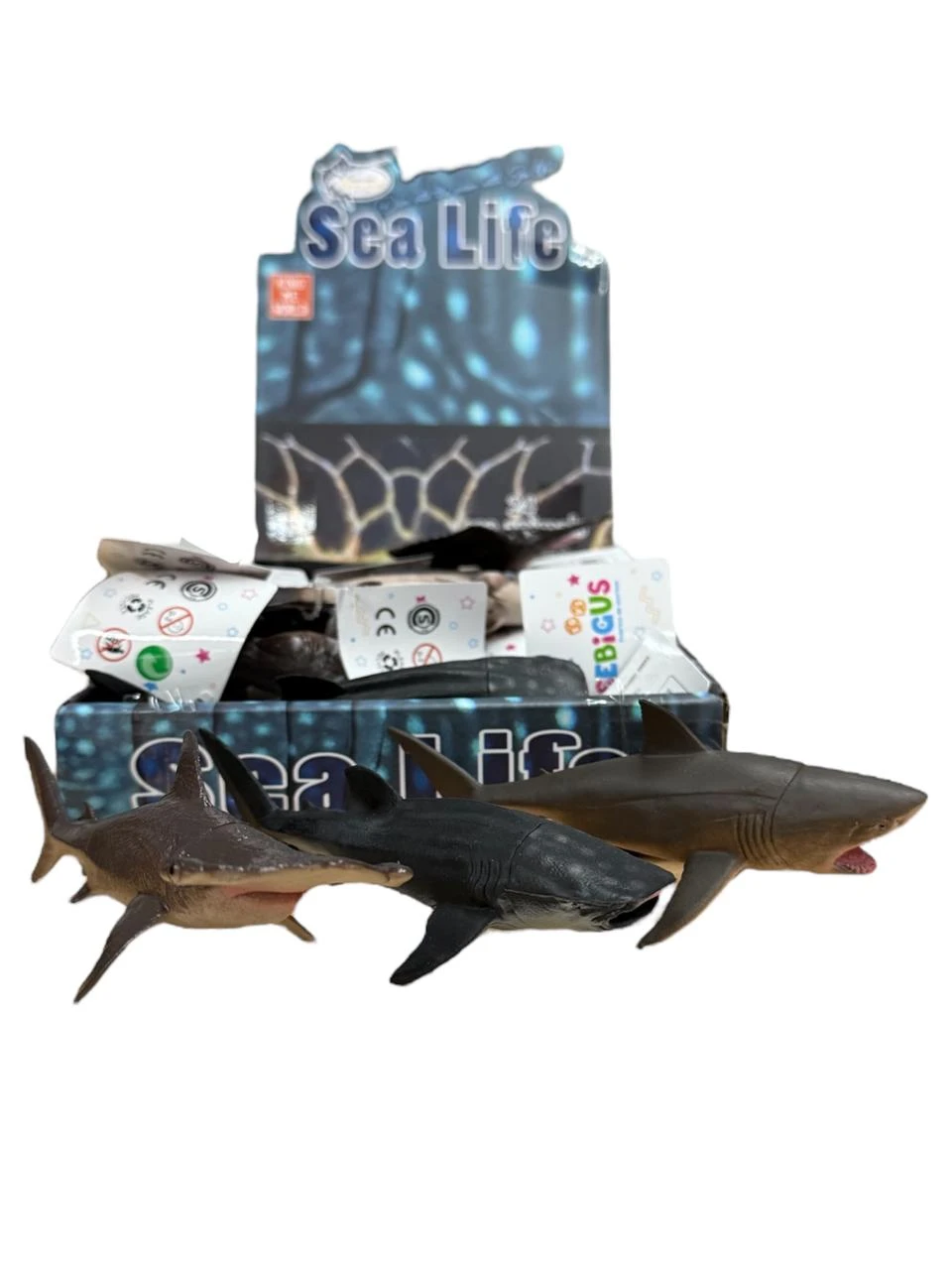 Animales Marinos