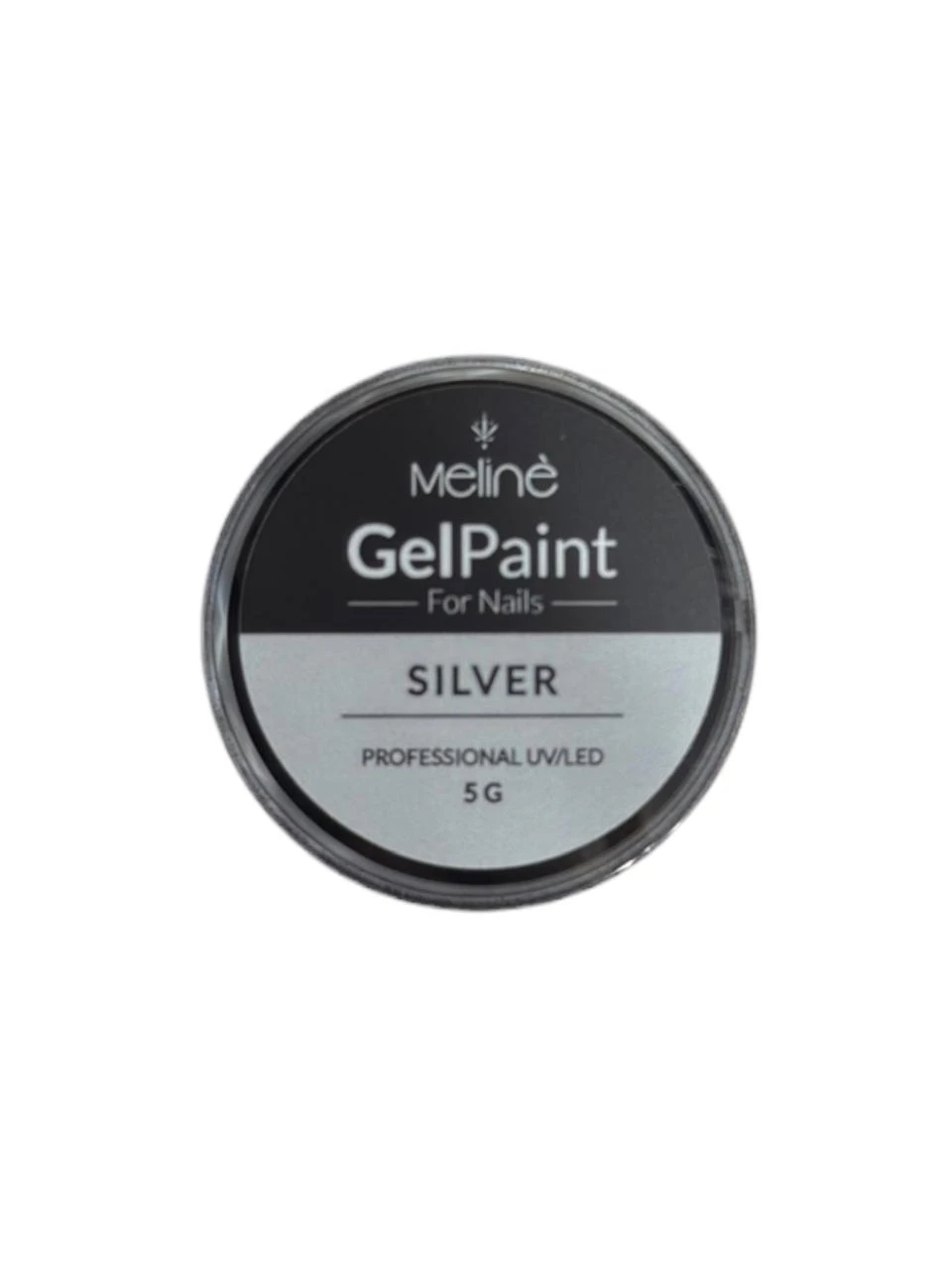 Gel Paint silver 5g