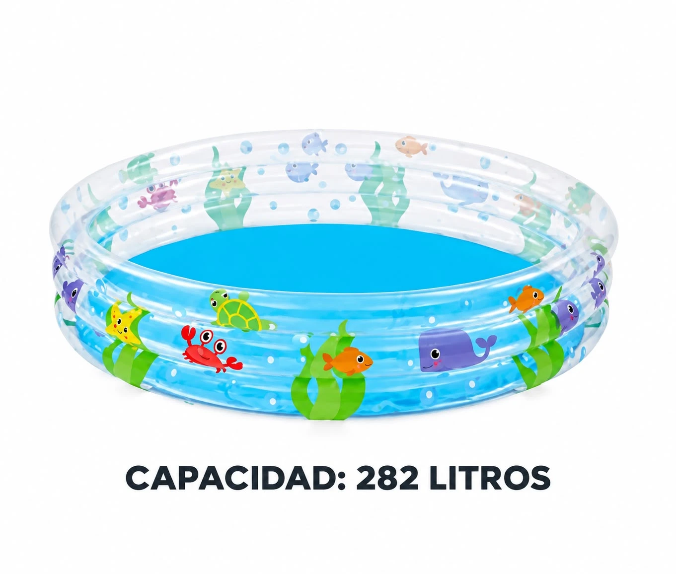 Pileta animales marinos mediana